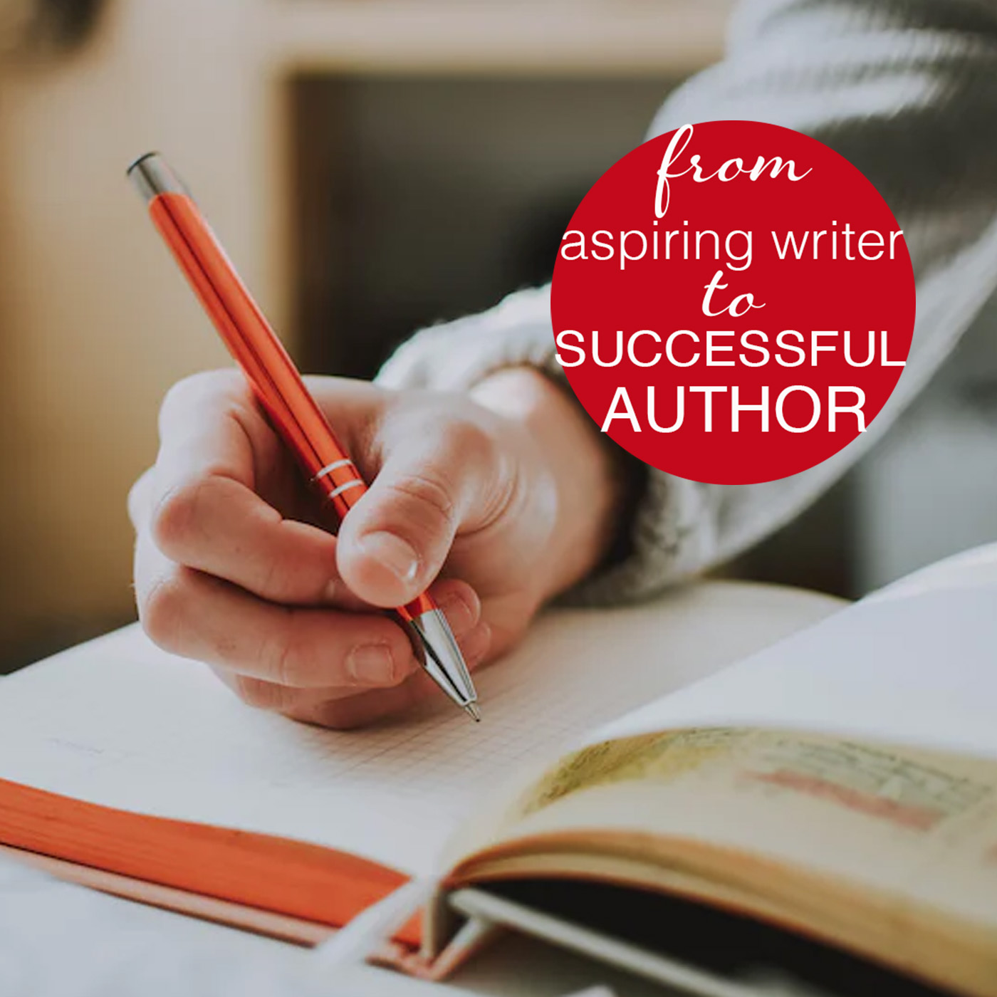 from aspiring writer to successful author
